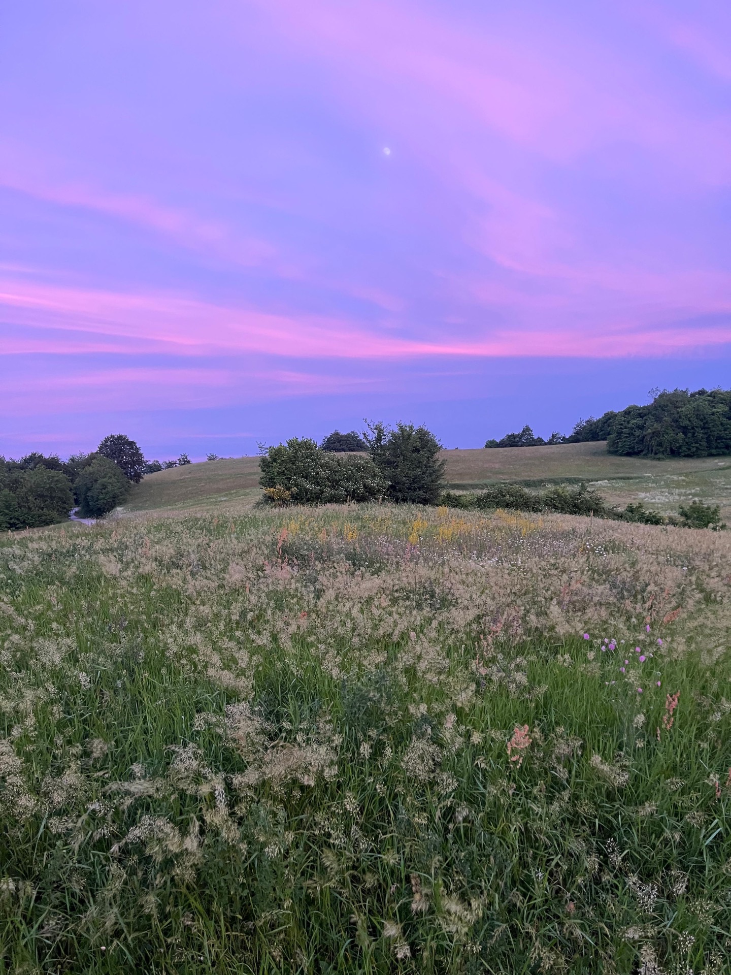 Purple sky over the hills