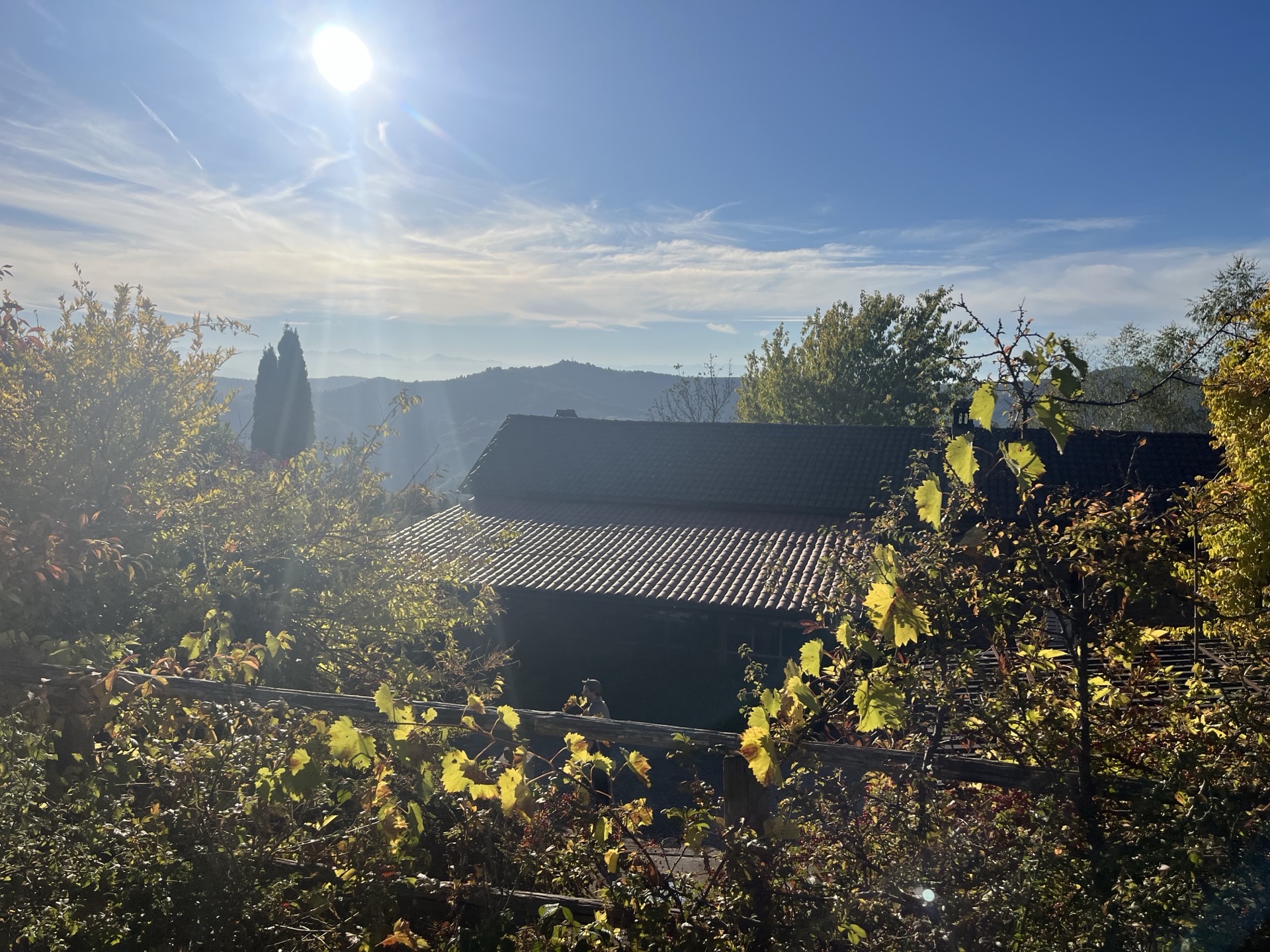 Autumn view
