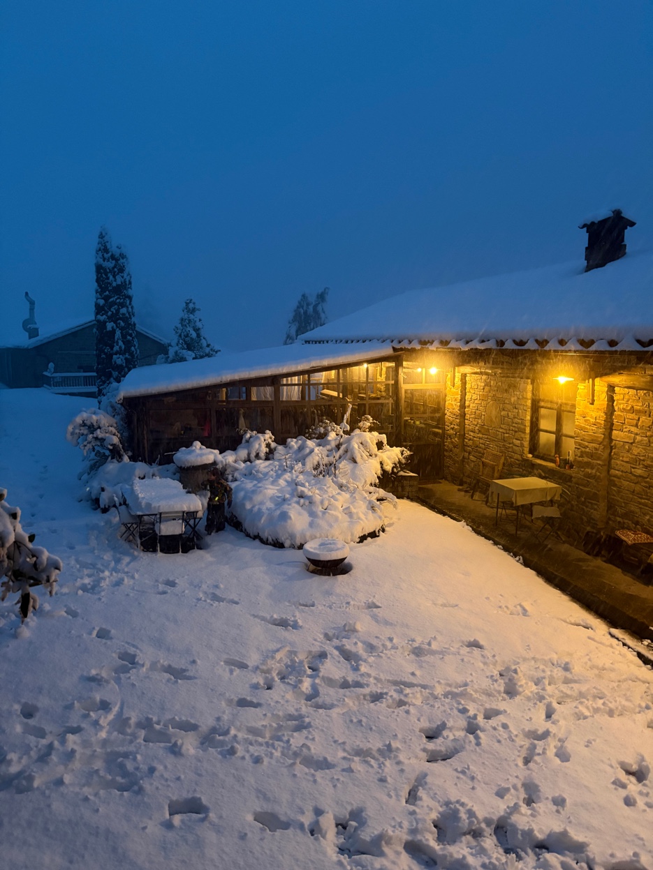 Snow at night