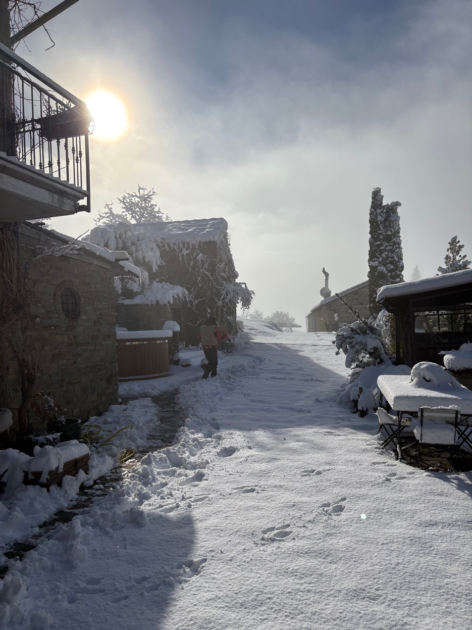 Winter morning