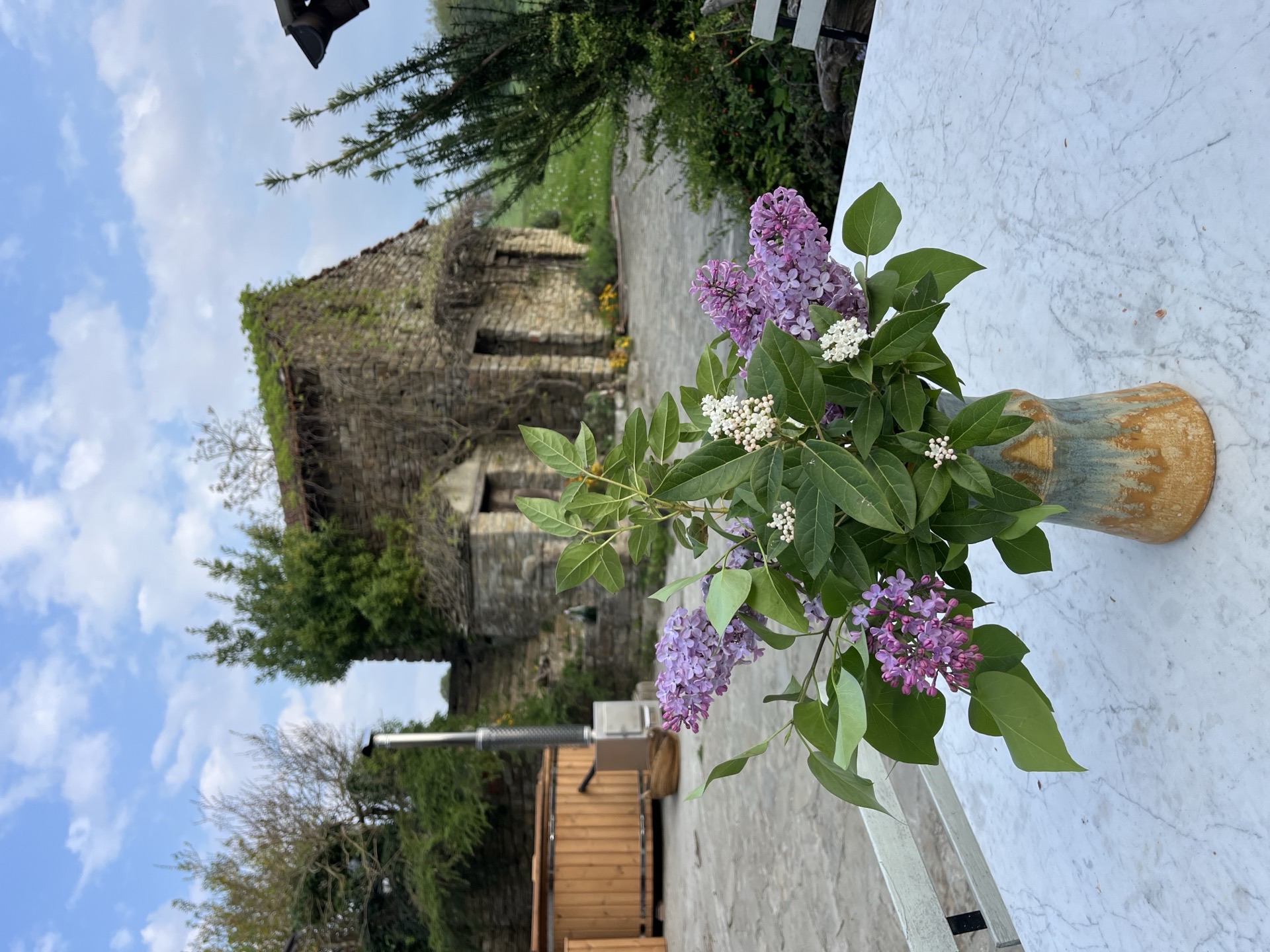 Lilacs on table